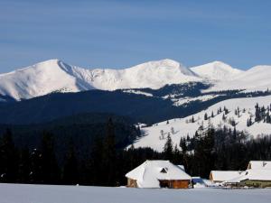a snow covered mountain range with a house in the foreground at Pensiunea Nechita in Şanţ