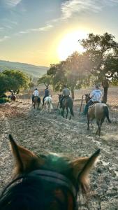 a group of people riding horses in a field at Preciosa Casa de Madera, Andalucía in Prado del Rey