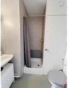 een kleine badkamer met een douche en een toilet bij Le Courchevel à Grèsse in Gresse-en-Vercors