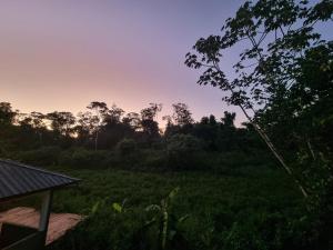 uitzicht op een veld bij zonsondergang bij Parakreek Apartments in Boxel
