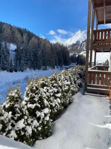 a snow covered bush next to a building with a mountain at Apart Jil-Marie Studio 7 in Samnaun