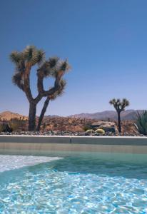 Foto sihtkohas Yucca Valley asuva majutusasutuse The Om Temple in Joshua Tree galeriist