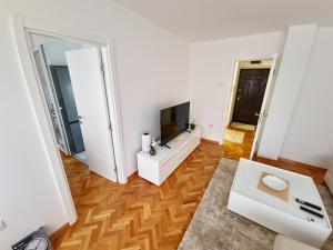TV a/nebo společenská místnost v ubytování Apartman Leskovac