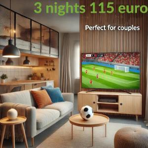TV a/nebo společenská místnost v ubytování Stockerau Comfort Studio 1 BR for 2