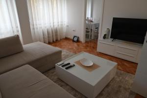 TV a/nebo společenská místnost v ubytování Apartman Leskovac