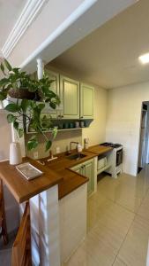 - une cuisine avec un évier et un comptoir avec une plante dans l'établissement Casa encantadora com vista para o lago, à Cabo Frio 23 autres photos