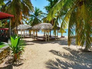 een strand met veel rieten parasols en palmbomen bij Bienvenue au Ti Frangipanier in Saint-François