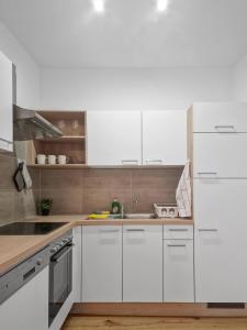 Kuchyň nebo kuchyňský kout v ubytování Stockerau Sky Terrace + 11 fotografií