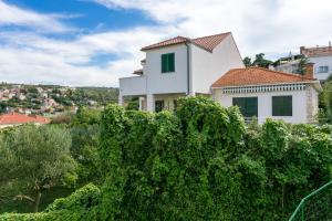 a house on a hill with a hedge at Apartments by the sea Postira, Brac - 739 in Postira