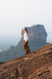 Gallery image of Sundaras Infinity Jungle Resort in Dambulla