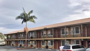 un bâtiment avec un palmier dans un parking dans l'établissement Motel 6-San Diego, CA - Southbay, à Chula Vista