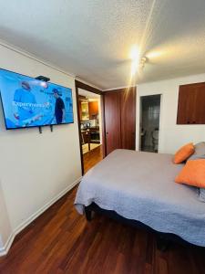 Un dormitorio con una cama y un televisor de pantalla plana. en Lujoso y Confortable Departamento de Valentina, en Santiago 35 fotos más