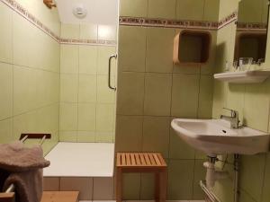 Bilik mandi di Chambres d'hôtes à la montagne, animaux acceptés - FR-1-589-735
