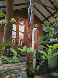 Zahrada ubytování Peacock's Paradise Safari Hostel