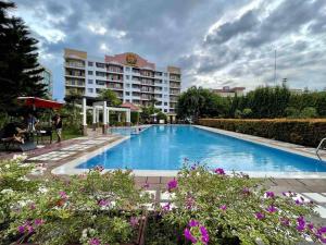 达沃市Family Suite Furnished Facing Pool的酒店前面的一个大型游泳池