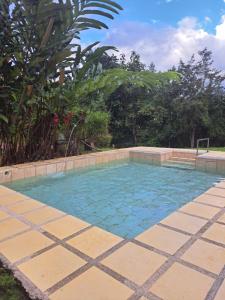 einen Pool im Hinterhof mit Fliesenboden in der Unterkunft Hospedaje Luis & Ana in Pejibaye
