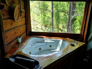 Fotografie z fotogalerie ubytování Fernhill Tented Treehouses v destinaci Rheenendal + 36 fotografií