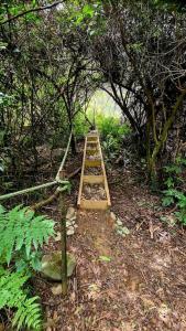 Gallery image of The Geodesic Dome in Pohara Golden Bay in Pohara +18 photos