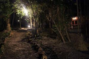 A garden outside Sambath Sakseth Bungalow