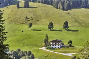 dom na szczycie zielonego wzgórza z drzewami w obiekcie Chalet Wallehen w Saalbach Hinterglemm