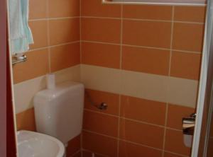 une salle de bains avec toilettes et lavabo dans l'établissement Apartments Bionda, à Novi Vinodolski