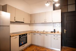 Η κουζίνα ή μικρή κουζίνα στο World Studio Opera Sibiu