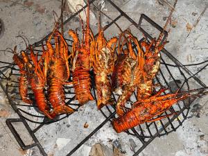 a group of lobsters cooking on a grill at Coconut Resort in Tuléar