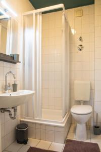 a bathroom with a toilet and a shower and a sink at Schwerin Apartment AMaria in Schwerin