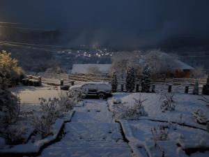 Φωτογραφία από το άλμπουμ του Pensiunea Carma σε Certeju de Sus
