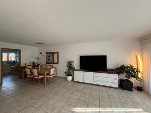 TV a/nebo společenská místnost v ubytování Garden Park Apartment