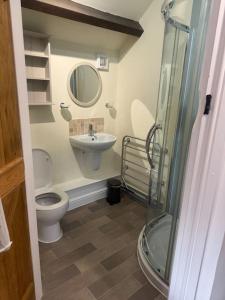 a bathroom with a toilet and a sink at Parr Cottage at Snape Castle Mews in Bedale