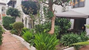 Zahrada ubytování NUEVA NERJA 22 MENYBER