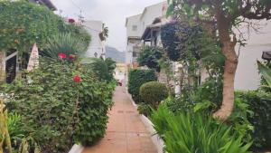 Zahrada ubytování NUEVA NERJA 22 MENYBER