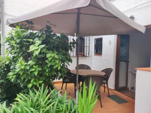 Zahrada ubytování NUEVA NERJA 22 MENYBER