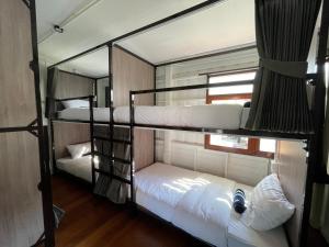 Green Cabin Hostel客房内的一张或多张床位
