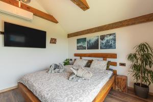 Un pat sau paturi într-o cameră la Vineyard Cottage Sončni grič