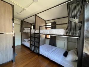 Green Cabin Hostel客房内的一张或多张床位
