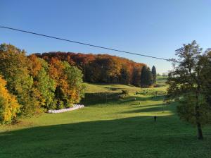 a person is walking in a field with trees at Malga Laben Apartments in Velo Veronese