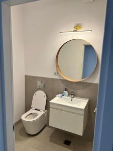 a bathroom with a toilet and a sink and a mirror at Silk Haven - Central Apartment in Iaşi