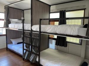 Green Cabin Hostel客房内的一张或多张床位