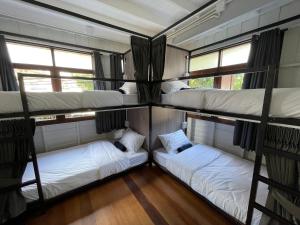 Green Cabin Hostel客房内的一张或多张床位