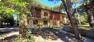a house with trees in front of it at Comfy apartment in Rosolina in Rosolina Mare +14 photos