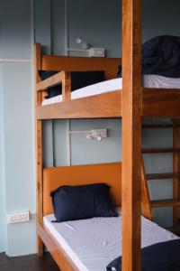 Palanda nebo palandy na pokoji v ubytování Tara Circle Hostel