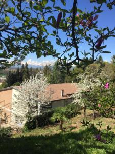 A garden outside Villa Caramino