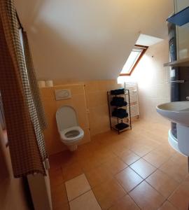 Koupelna v ubytování Rodinný apartmán Matěj v Krkonoších