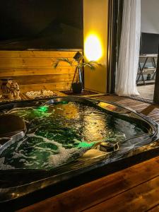 Foto sihtkohas Petite-Île asuva majutusasutuse Villa cap sud and spa 1 galeriist