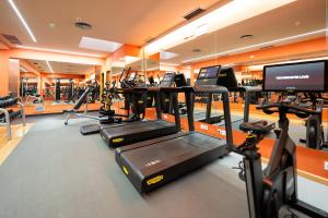 Fitness centrum a/nebo fitness zařízení v ubytování Hotel Villamadrid