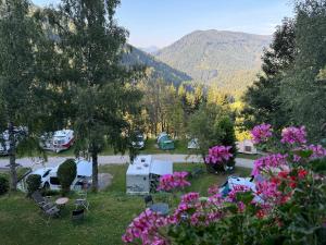 Paesaggio naturale nelle vicinanze dell'affittacamere