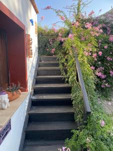 Zahrada ubytování Betul Guest House