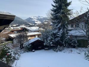 Mynd úr myndasafni af Flow In í Kitzbuhel